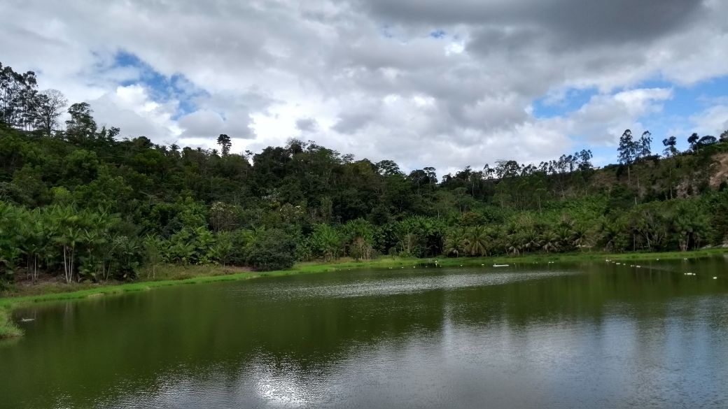Adequação Ambiental de Propriedades Rurais na Bacia do Barra Seca e Foz do Rio Doce. Foto: Divulgação