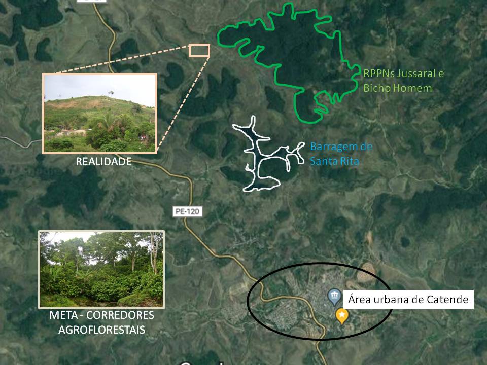 Imagem: Prefeitura de Catende
