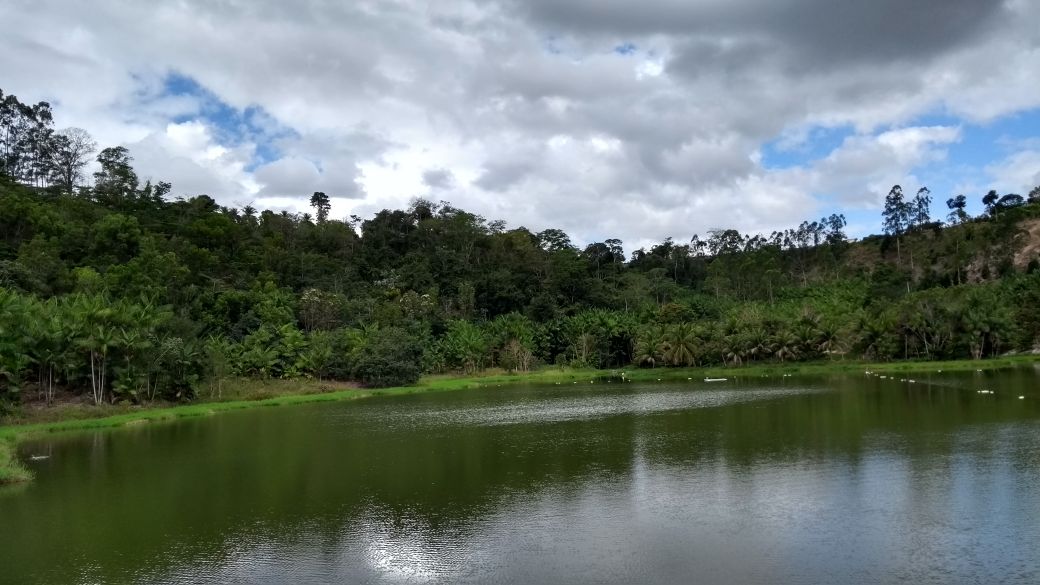 Adequação Ambiental de Propriedades Rurais na Bacia do Barra Seca e Foz do Rio Doce_Foto: Divulgação